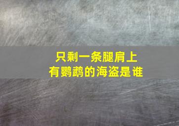 只剩一条腿肩上有鹦鹉的海盗是谁