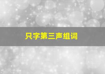 只字第三声组词