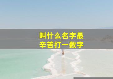 叫什么名字最辛苦打一数字