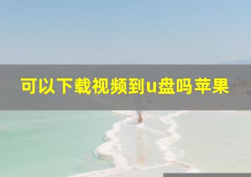 可以下载视频到u盘吗苹果