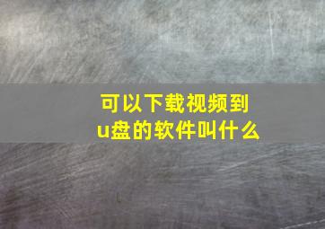 可以下载视频到u盘的软件叫什么