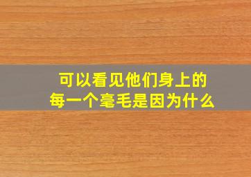 可以看见他们身上的每一个毫毛是因为什么