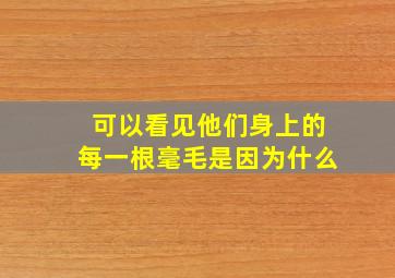 可以看见他们身上的每一根毫毛是因为什么