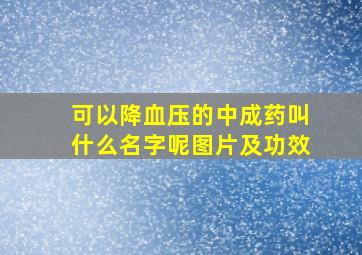 可以降血压的中成药叫什么名字呢图片及功效