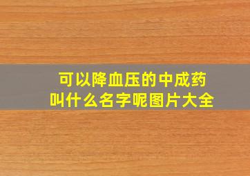 可以降血压的中成药叫什么名字呢图片大全