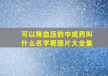 可以降血压的中成药叫什么名字呢图片大全集