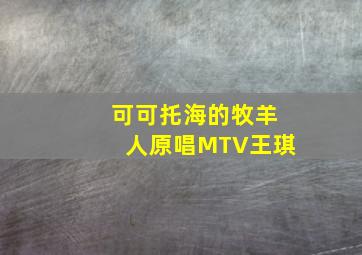 可可托海的牧羊人原唱MTV王琪