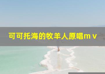 可可托海的牧羊人原唱mⅴ