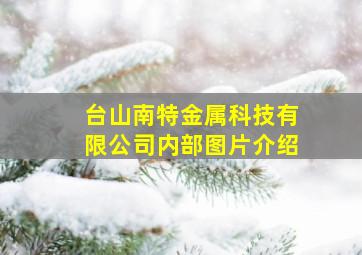 台山南特金属科技有限公司内部图片介绍