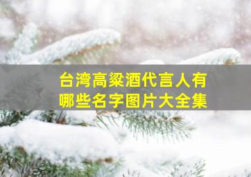 台湾高粱酒代言人有哪些名字图片大全集