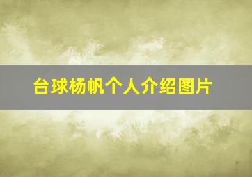 台球杨帆个人介绍图片