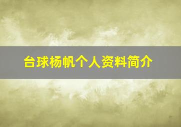 台球杨帆个人资料简介