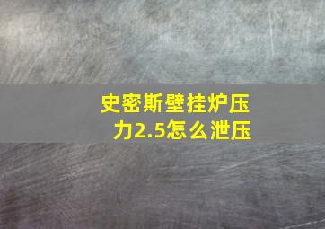 史密斯壁挂炉压力2.5怎么泄压