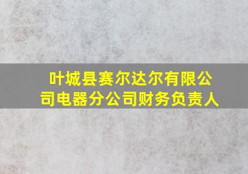 叶城县赛尔达尔有限公司电器分公司财务负责人