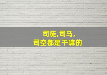 司徒,司马,司空都是干嘛的