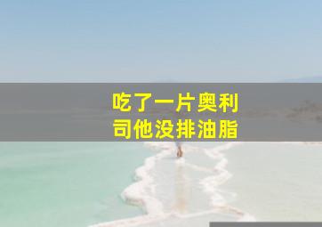 吃了一片奥利司他没排油脂