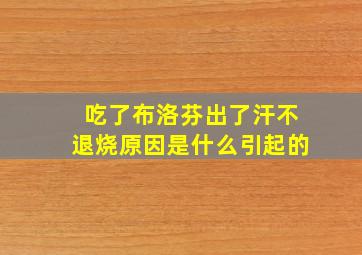 吃了布洛芬出了汗不退烧原因是什么引起的