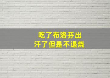 吃了布洛芬出汗了但是不退烧