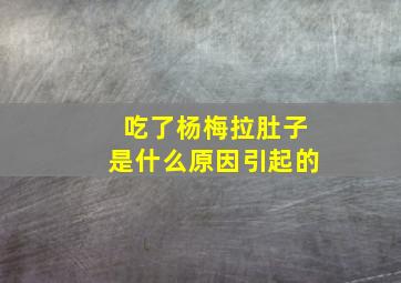 吃了杨梅拉肚子是什么原因引起的