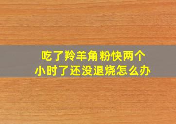 吃了羚羊角粉快两个小时了还没退烧怎么办