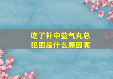 吃了补中益气丸总犯困是什么原因呢