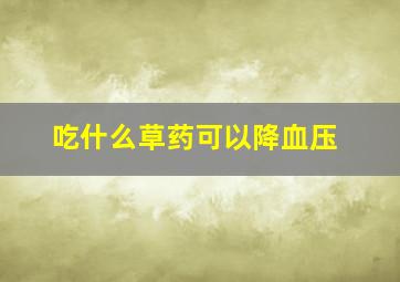 吃什么草药可以降血压