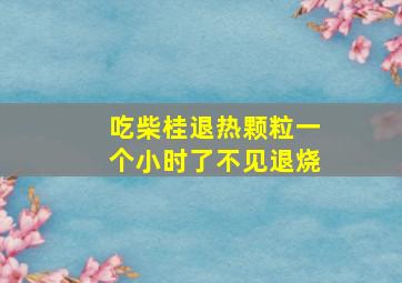 吃柴桂退热颗粒一个小时了不见退烧