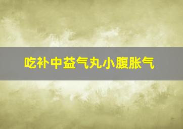 吃补中益气丸小腹胀气