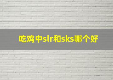 吃鸡中slr和sks哪个好