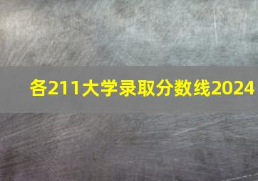 各211大学录取分数线2024