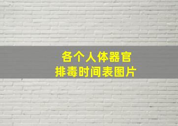 各个人体器官排毒时间表图片