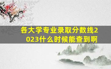 各大学专业录取分数线2023什么时候能查到啊