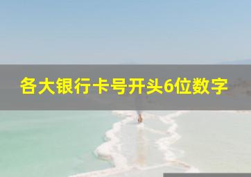 各大银行卡号开头6位数字