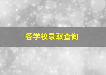 各学校录取查询