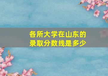 各所大学在山东的录取分数线是多少