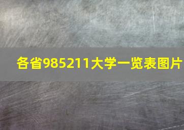 各省985211大学一览表图片