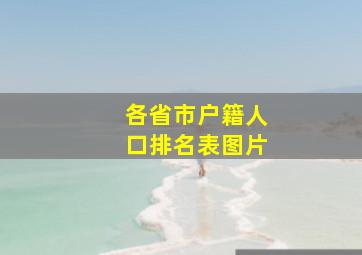 各省市户籍人口排名表图片