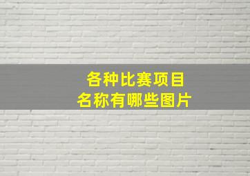 各种比赛项目名称有哪些图片