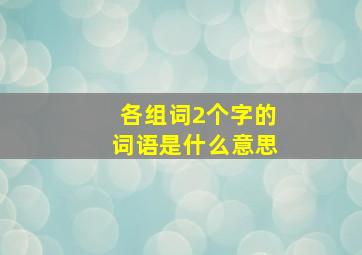 各组词2个字的词语是什么意思