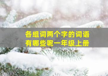 各组词两个字的词语有哪些呢一年级上册