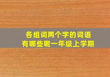 各组词两个字的词语有哪些呢一年级上学期