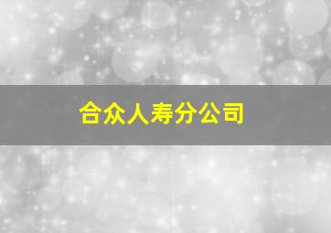 合众人寿分公司