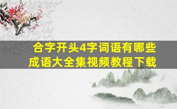 合字开头4字词语有哪些成语大全集视频教程下载