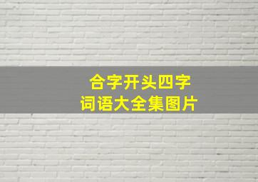 合字开头四字词语大全集图片