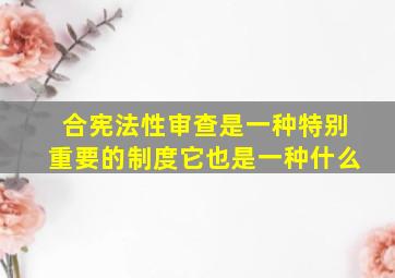 合宪法性审查是一种特别重要的制度它也是一种什么