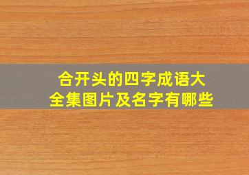 合开头的四字成语大全集图片及名字有哪些