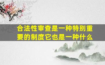 合法性审查是一种特别重要的制度它也是一种什么