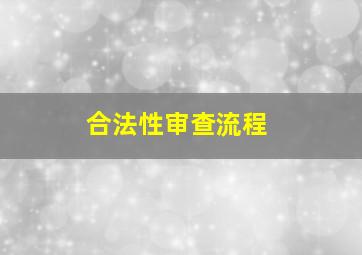 合法性审查流程