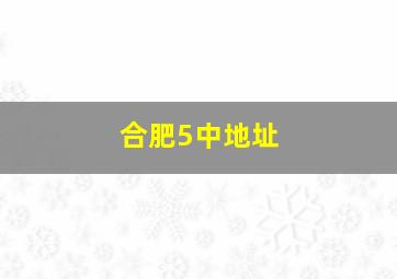 合肥5中地址