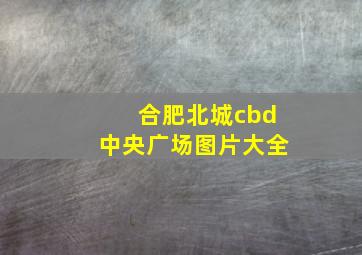 合肥北城cbd中央广场图片大全